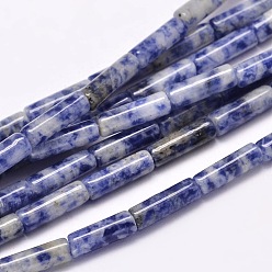 Jaspe Avec Point Bleu Tache bleue naturelle jasper colonne perles brins, 13~14x4~5mm, Trou: 1mm, Environ 29 pcs/chapelet, 15.7 pouce