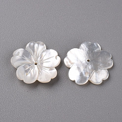 Creamy White Natural White Shell Mother of Pearl Shell Beads, Carved, Flower, Creamy White, 21x21x2~3mm, Hole: 1mm