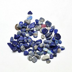 Lapislázuli Naturales lapis lazuli cuentas de chip, piedra caída, ningún agujero, 3~5x2~4 mm, Sobre 4300 unidades / 500 g