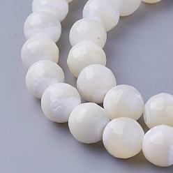 Other Sea Shell Shell Beads Strands, Faceted, Round, 11.2~12mm, Hole: 1.5mm, about 35pcs/strand, 15.66 inch(39.8cm)
