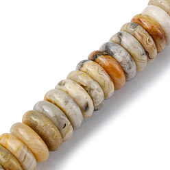 Crazy Agate Natural Crazy Agate Beads Strands, Disc, 12x3.5~4mm, Hole: 1.4mm, about 51pcs/strand, 7.48~8.19 inch(19~20.8cm)