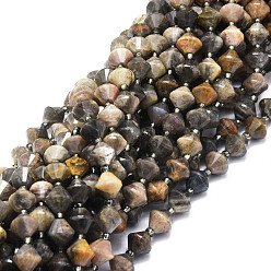 Black Moonstone Natural Black Moonstone Beads Strands, Faceted, Bicone, 8x8mm, Hole: 1mm, about 40pcs/strand, 15.24''(38.7cm)