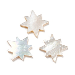 White Natural Sea Shell Cabochons, Star, White, 9.5x9.5x1mm