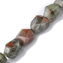 Bloodstone Natural Afican Bloodstone Beads Strands, Faceted, Nuggets, 16~17x11~13x11~13mm, Hole: 1.5mm, about 13pcs/strand, 8.46~8.58 inch(21.5~21.8cm)