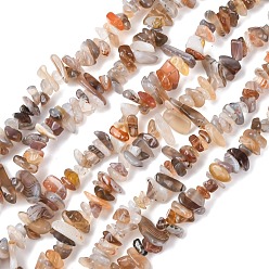 (946FM) Цитрин матовый с зеленой подкладкой Природные Ботсвана агат бисер нитей, чип, 5~8 мм, отверстие : 1 мм, 80~81 см