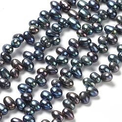 Prussian Blue Natural Cultured Freshwater Pearl Beads Strands, Dyed, Rice, Prussian Blue, 6~7x4~5mm, Hole: 0.5mm, about 71pcs/strand, 14.65''(37.2cm)