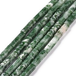Камень с Зелеными Точками Натуральные зеленые пятна яшмовых нитей, колонка, 4x13~14 мм, отверстие : 1.2 мм, около 29 шт / нитка, 15.39'' (39.1 см)