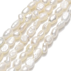 Linen Natural Cultured Freshwater Pearl Beads Strands, Two Sides Polished, Linen, 4~6x3.5~4x2.5~3mm, Hole: 0.6mm, about 69~70pcs/strand, 13.78~13.98''(35~35.5cm)