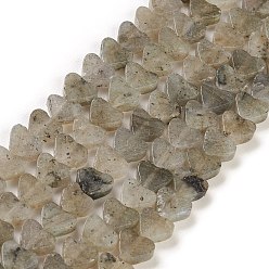 Labradorite Natural Labradorite Beads Strands, Heart, 7~7.5mm, Hole: 0.6mm, about 62pcs/strand, 14.80''~15''(37.6~38.1cm)