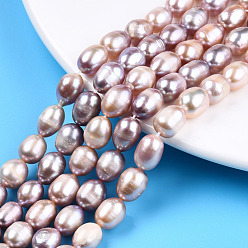 Plum Rice Natural Cultured Freshwater Pearl Beads Strands, Plum, 8.5~11.5x7~8.5mm, Hole: 0.8mm, about 34~36pcs/strand, 13.94 inch~14.29 inch(35.4~36.3cm)
