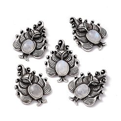 Rainbow Moonstone Natural Rainbow Moonstone Pendants, Nine-Tailed Fox Charms, with Antique Silver Color Brass Findings, 30x23x6mm, Hole: 4x2mm