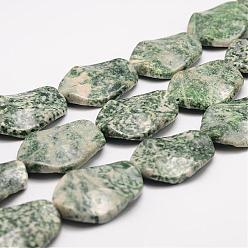 Punto Verde Piedra Hebras de cuentas de jaspe verde natural, óvalo retorcido, 34x24x7 mm, agujero: 2 mm, sobre 12 unidades / cadena, 16.1 pulgada