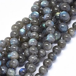 Labradorite Natural Labradorite Beads Strands, Grade A, Round, 10mm, Hole: 0.8mm, about 40~41pcs/strand, 15.3~16.3 inch(39~41.5cm)