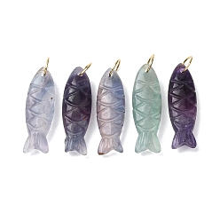 Флюорит Подвески с резьбой из натурального флюорита, хрустальные рыбки-талисманы, с 304 кольцами из нержавеющей стали, золотые, 33.5~34.5x10.5x7~7.5 мм, отверстие : 7 мм