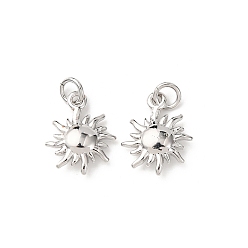 Платина Латунные подвески, солнечные чары, без кадмия и без свинца, стойки покрытие, долговечный, с целью перехода в кольце, платина, 12.5x10x3 мм, отверстие : 2.3 мм