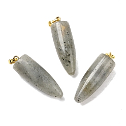 Лабрадорита Натуральные лабрадоритные остроконечные подвески, с фурнитурой позолоченной латунной, пуля, 32~35x10~11 мм, отверстие : 7 мм