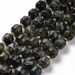 Kambaba Jasper Natural Kambaba Jasper Beads Strands, with Seed Beads, Faceted Bicone Barrel Drum, 9~10mm, Hole: 1.2mm, about 29~32pcs/strand, 14.45~14.84 inch(36.7~37.7cm)