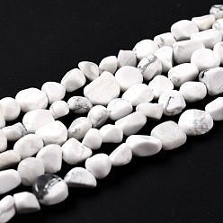 Howlite Natural Howlite Beads Strands, Nuggets, Tumbled Stone, 5~8.5x5.5~7x3.5~4mm, Hole: 0.7mm, about 64pcs/strand, 16.34 inch(41.5cm)