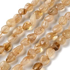 Цитрин Нити из натуральных цитриновых (нагретых) бусин, nuggest, 10~14x8~11x5~7 мм, отверстие : 1 мм, около 38~41 шт / нитка, 15.47~15.75'' (39.3~40 см)