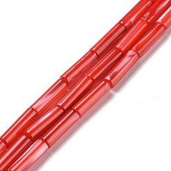 Красный Природные trochid стеклянные бусы нити, окрашенные, колонка, красные, 11.5~14x4 мм, отверстие : 0.6 мм, около 28~29 шт / нитка, 15.55~15.67 дюйм (39.5~39.8 см)