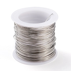 Stainless Steel Color 316 Surgical Stainless Steel Wire, for Jewelry Making, Stainless Steel Color, 20 Gauge, 0.8mm, about 26.24 Feet(8m)/roll