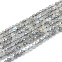 Labradorite Natural Labradorite Beads Strands, Faceted, Round, 4~4.5mm, Hole: 0.7mm, about 88~104 pcs/Strand, 15.15 inch(38.5cm)
