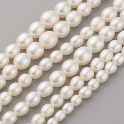 Old Lace Natural Cultured Freshwater Pearl Graduated Beads Strands, Grade AAAA, Oval, Old Lace, 4~10x4~9mm, Hole: 0.5mm, about 60~62pcs/strand, 15.7 inch(40cm)