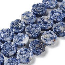 Sodalite Natural Sodalite Beads Strands, Carved Rose, 15.5~16x4.5~5.5mm, Hole: 1mm, about 25pcs/strand, 15.55''(39.5cm)