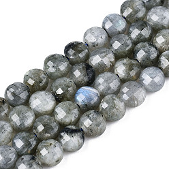 Labradorite Natural Labradorite Beads Strands, Faceted, Flat Round, 6x4.5mm, Hole: 0.8mm, about 59~60pcs/strand, 14.17~14.57 inch(36cm~37cm)