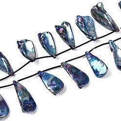 Морской Синий Нити бусин из натуральных пресноводных ракушек, окрашенных в цвет AB, слеза, Топ пробуренной, Marine Blue, 33~49x14~23x5~11 мм, отверстие : 0.5 мм, около 13 шт / нитка, 11.69~12.20'' (29.7~31 см)