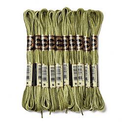 Olive Drab 10 Skeins 6-Ply Polyester Embroidery Floss, Cross Stitch Threads, Segment Dyed, Olive Drab, 0.5mm, about 8.75 Yards(8m)/skein