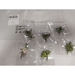 Светло-зеленый Коричневый 6шт. 6 стили, значки из сплава с покраской, для рюкзака и одежды, листьев и цветов, с пластиковой жемчужины, оливковый, 36.5~61x25~42 мм, 1 шт / стиль