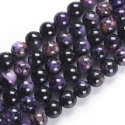 Charoite Natural Charoite Beads Strands, Round, 14mm, Hole: 1mm, about 29pcs/strand, 15.94 inch(40.5cm)