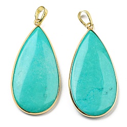 Говлит Подвески, окрашенные в натуральный зеленый говлит, Подвески-капли со стойкой, фурнитура из латуни золотистого цвета, 42.5x21x4.5~5 мм, отверстие : 7x4 мм