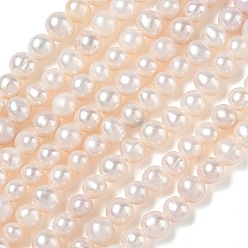 Beige Natural Cultured Freshwater Pearl Beads Strands, Grade 2A, Potato, Beige, 4.8~5.2mm, Hole: 0.5mm, about 78pcs/strand, 13.78''(35cm)