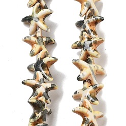 (932FM) Темно-синий аква-матовый с подкладкой Синтетические бусины, окрашенные в бирюзовый цвет, эффект впрыска топлива, морская звезда, темно-золотистые, 13.5~14x14~15x5 мм, отверстие : 1.5 мм, около 34~36 шт / нитка, 13.39'' (34 см)