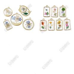 Mixed Shapes 10Pcs 2 Styles Transparent Resin Pendants, with Dried Flower & Golden Tone Alloy Findings, Mixed Color, Mixed Shapes, 24~32x14.5~28.5x2.5~3mm, Hole: 1.6~2mm, 5pcs/style 