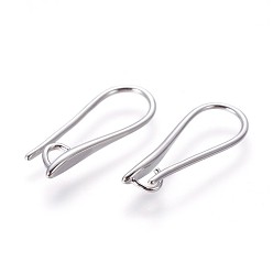 Platinum Brass Earring Hooks, with Horizontal Loop, Platinum, 19.5x8x2.5mm, Hole: 2mm, 18 Gauge, Pin: 1mm