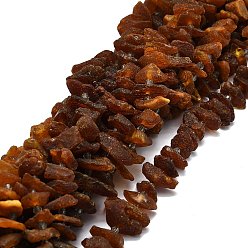 Amber Natural Amber Beads Strands, Nuggets, 13~25x9~12x3~10mm, Hole: 1.8mm, about 51pcs/strand, 15.35''(39cm)