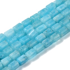Светло-Голубой Бусины из натурального белого нефрита, колонка, окрашенная и подогревом, Небесно-голубой, 5.6~6.3x4.2~4.6 мм, отверстие : 0.9 мм, около 65 шт / нитка, 14.96~15.12 (38~38.4 см)