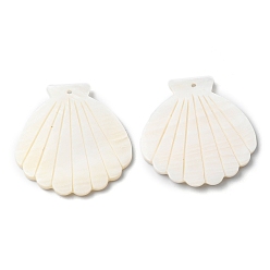 Seashell Color Natural Freshwater Shell Big Pendants, Shell Charm, Seashell Color, 54.5x52x3.5mm, Hole: 2mm