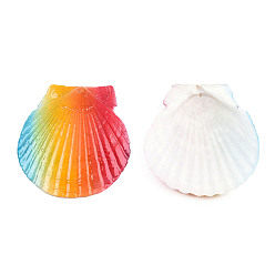 None Pattern Printed Natural Freshwater Shell Big Pendants, Shell Charm, Colorful, None Pattern, 55~75x52~70x6~8mm, Hole: 1.4mm