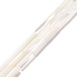 Белый Природные trochid стеклянные бусы нити, колонка, белые, 11.5~14x4 мм, отверстие : 0.6 мм, около 28~29 шт / нитка, 15.55~15.67 дюйм (39.5~39.8 см)