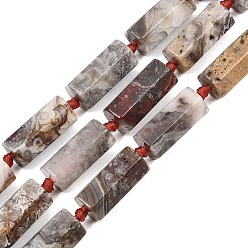 Сумасшедший Агат Натуральные мексиканские бусины из агата «Crazy Lace», полиэдральная колонна, граненые, 22~23x11~11.5x10 мм, отверстие : 1 мм, около 16 шт / нитка, 16.93'' (43 см)
