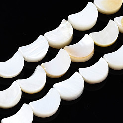 Freshwater Shell Natural Freshwater Shell Beads Strands, Moon, 8x5~6x2~3mm, Hole: 0.9mm, about 44pcs/strand, 13.78 inch(35cm)