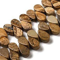 Picture Jasper Natural Picture Jasper Beads Strands, Teardrop, Top Drilled, 9~10x5~5.5x3.5~4mm, Hole: 0.7mm, about 40~48pcs/strand, 7.09~7.28''(18~18.5cm).