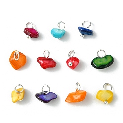 Серебро Подвески из натуральных окрашенных ракушек, с медными петлями, cmешанных цветов, серебряные, 8~9x5~10x4.5~7 мм, отверстие : 3.5 мм