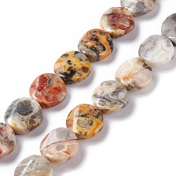 Crazy Agate Natural Crazy Agate Beads Strands, Twist Flat Round, 16x6~7mm, Hole: 1mm, about 25pcs/strand, 15.75''(40cm)