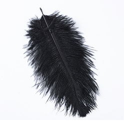 Black Ostrich Feather Costume Accessories, Dyed, Black, 30~35cm