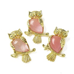 Вишневый Кварц Вишневое из кварцевого стекла подвески, латунные совьи амулеты, золотые, стойки покрытие, без кадмия и без свинца, 36.5x26.5x7.5 мм, отверстие : 6.5x4.5 мм